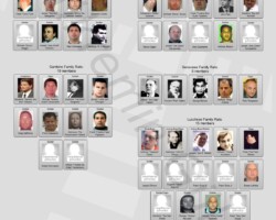 5 NY Mafia Families Turncoats Chart 5 NY Mafia Families Turncoats Chart