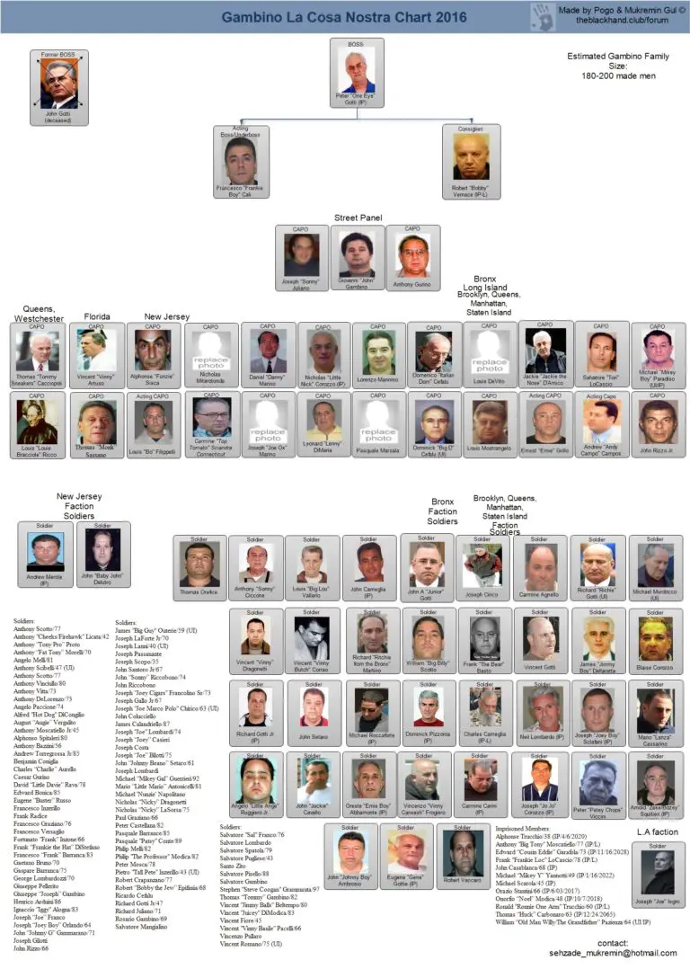 2016-mafia-leadership-charts-about-the-mafia