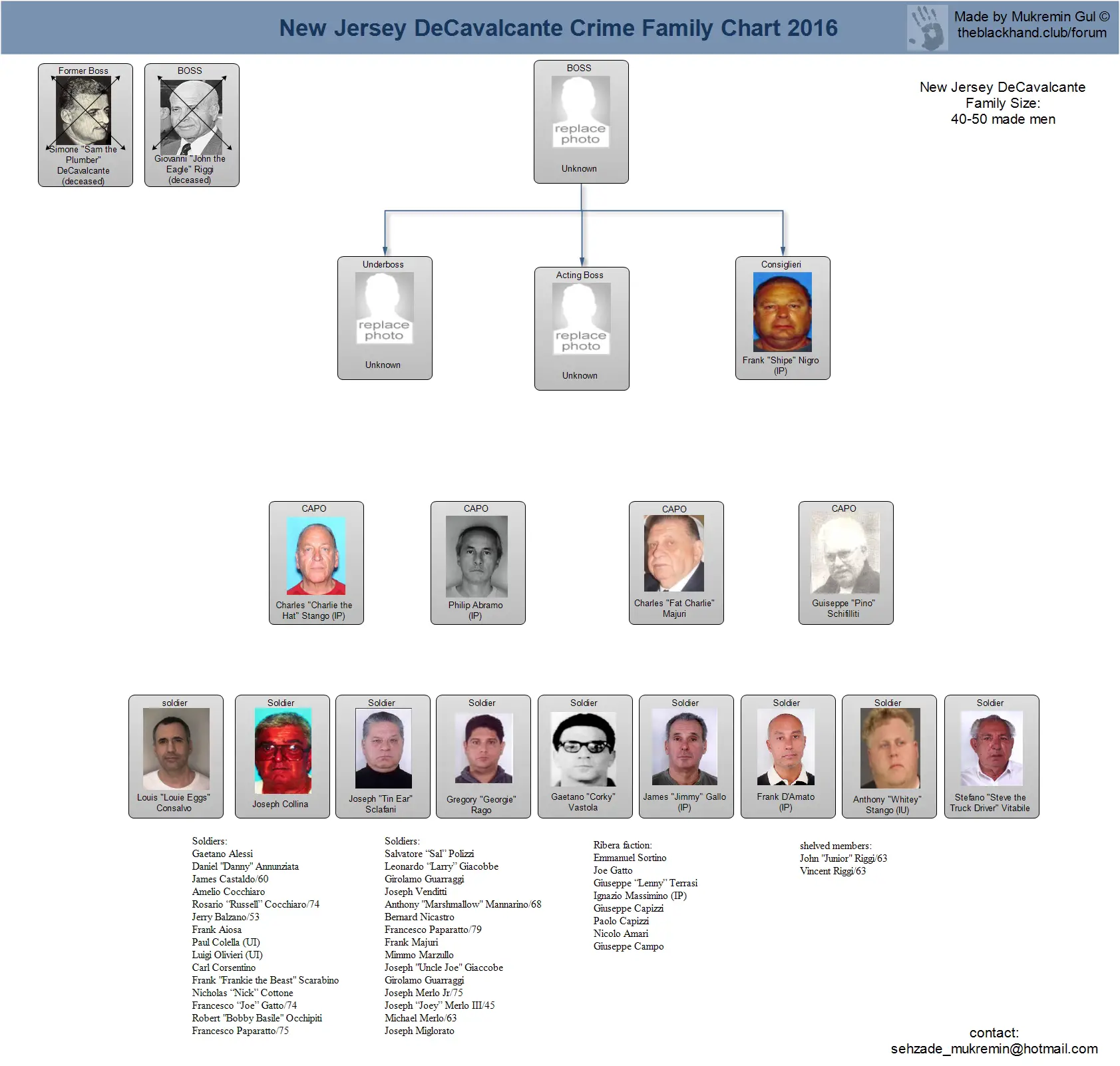 Gambino Crime Family Chart 2016