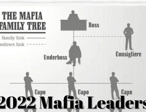 Mafia Bosses and Hierarchies in 2022