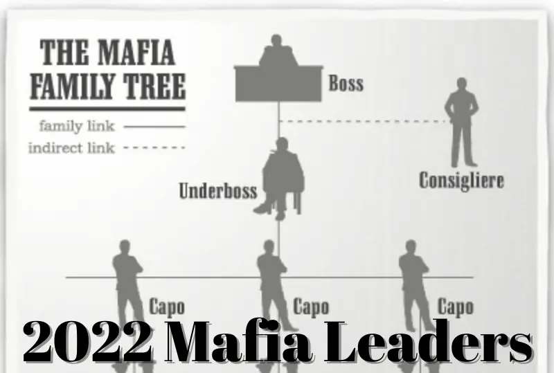 Mafia Bosses and Hierarchies in 2022 The Mafia