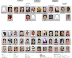 Bonanno Mafia Family Chart 2016