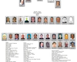 Colombo Mafia Family Chart 2016