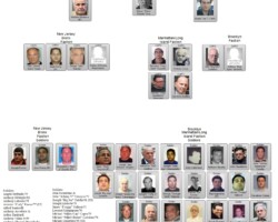 Lucchese Mafia Family Chart 2016