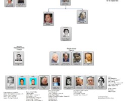 New England Patriarca Mafia 2016