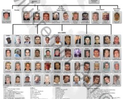 Bonanno Mafia Family Chart 2018