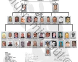 Colombo Mafia Family Chart 2018