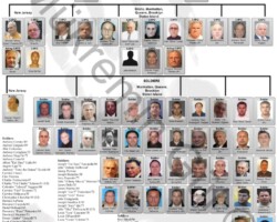 Genovese Mafia Family Chart 2018