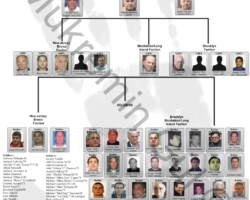 Lucchese Mafia Family Chart 2018