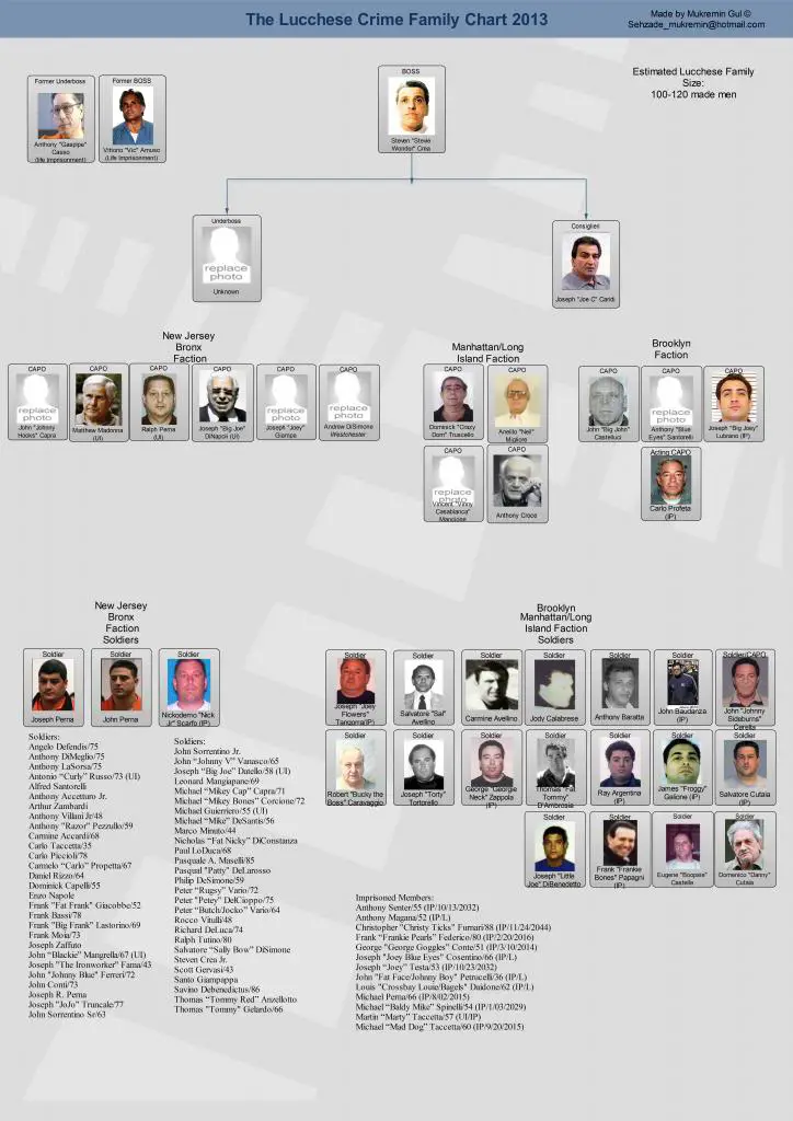 Mafia Family Leadership Charts | About The Mafia